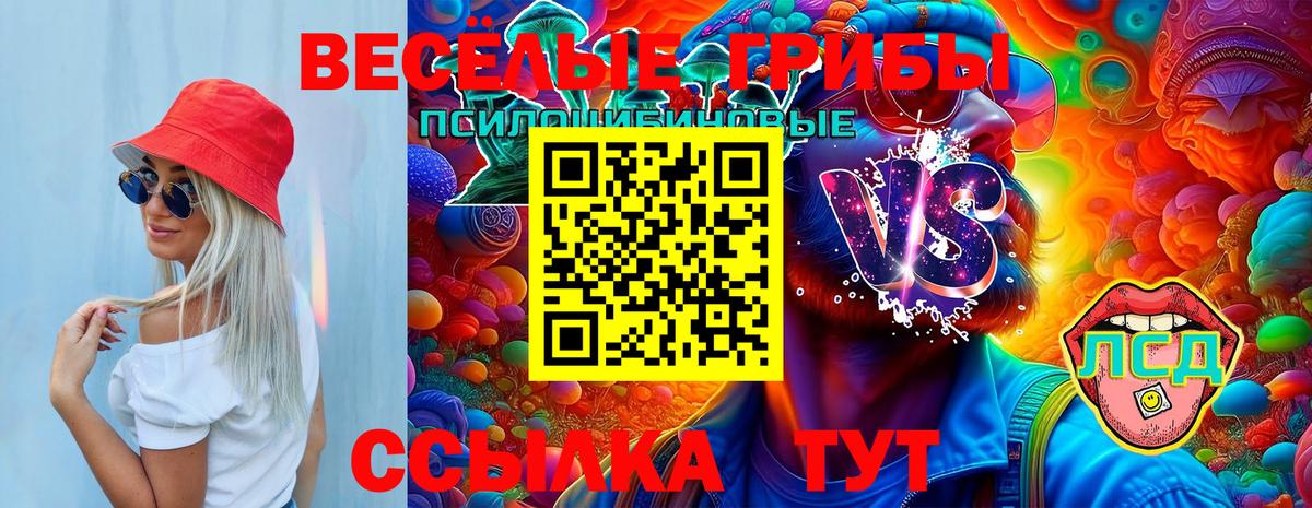 Псилоцибиновые грибы ЛСД  где можно купить наркотик  Вход с VPN  Лосино-Петровский  Псилоцибиновые грибы GOLDEN TEACHER 